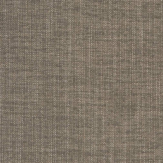 D1703 Plain & Solid Slate Grey & Silver Charlotte Fabrics