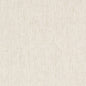 D1704 Plain & Solid Cotton White & Ivory Charlotte Fabrics