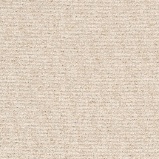 D1713 Plain & Solid Parchment White & Ivory Charlotte Fabrics