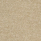 D1748 Plain & Solid Barley Beige & Taupe Charlotte Fabrics