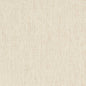 D1753 Plain & Solid Champagne White & Ivory Charlotte Fabrics