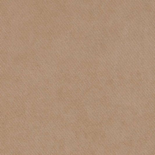 D1793 Plain & Solid Fawn Beige & Taupe Charlotte Fabrics
