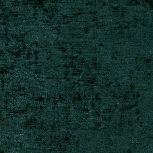 D1902 Plain & Solid Pine Green Charlotte Fabrics