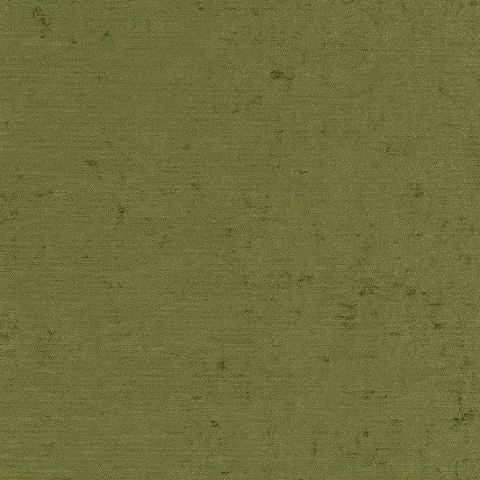 D1904 Plain & Solid Caper Green Charlotte Fabrics
