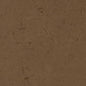 D1922 Plain & Solid Sable Brown Charlotte Fabrics