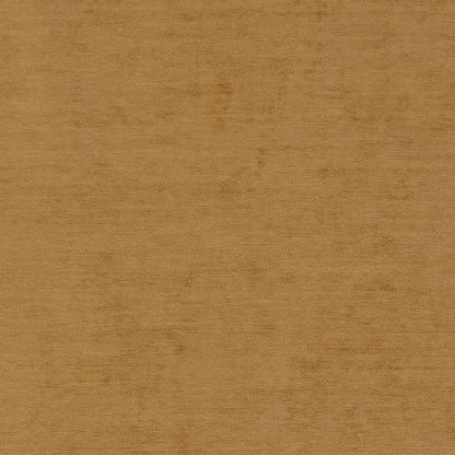 D1927 Plain & Solid Wheat Gold & Yellow Charlotte Fabrics
