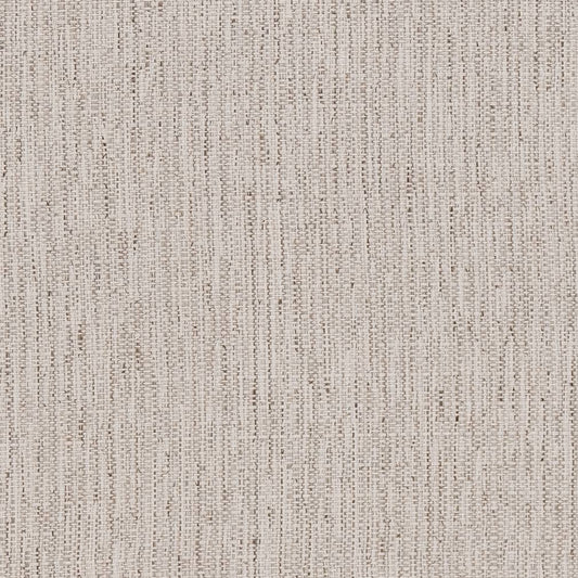 D1957 Plain & Solid Birch Beige & Taupe Charlotte Fabrics