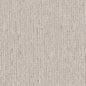 D1957 Plain & Solid Birch Beige & Taupe Charlotte Fabrics