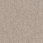 D1959 Plain & Solid Linen Beige & Taupe Charlotte Fabrics