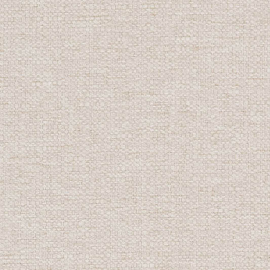 D1978 Plain & Solid Oyster Beige & Taupe Charlotte Fabrics