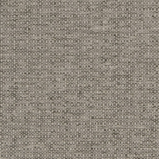 D1979 Plain & Solid Platinum Grey & Silver Charlotte Fabrics