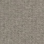 D1979 Plain & Solid Platinum Grey & Silver Charlotte Fabrics