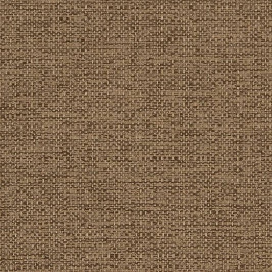 D1981 Plain & Solid Sandalwood Brown Charlotte Fabrics