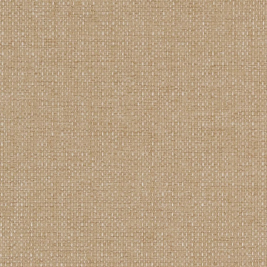 D1982 Plain & Solid Almond Beige & Taupe Charlotte Fabrics