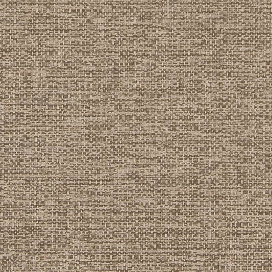 D1990 Plain & Solid Taupe Beige & Taupe Charlotte Fabrics