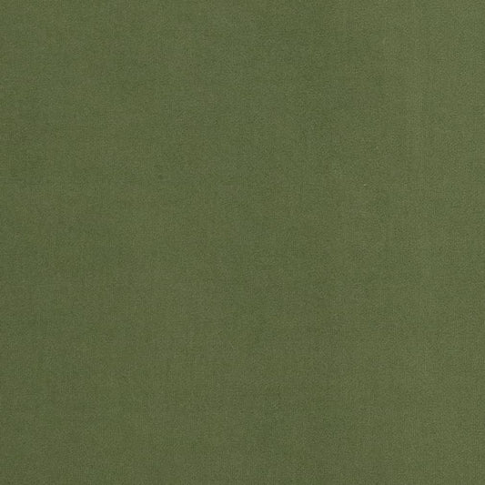 D2090 Plain & Solid Basil Green Charlotte Fabrics