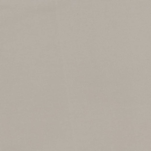 D2098 Plain & Solid Linen Beige & Taupe Charlotte Fabrics