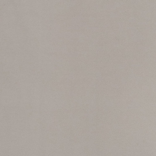 D2100 Plain & Solid Silver Grey & Silver Charlotte Fabrics