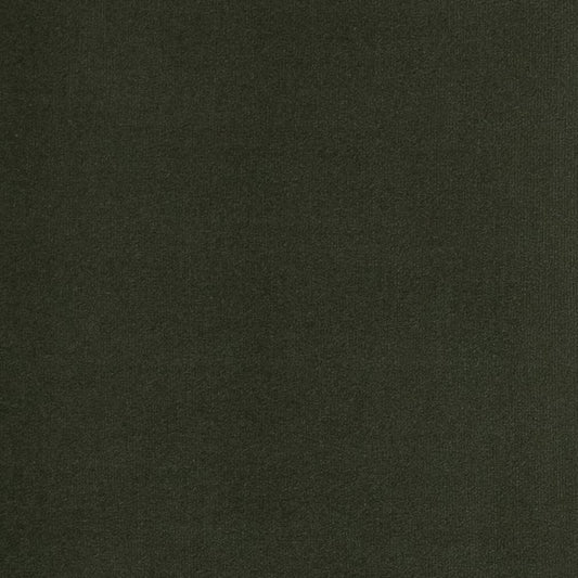D2105 Plain & Solid Cedar Green Charlotte Fabrics