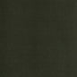 D2105 Plain & Solid Cedar Green Charlotte Fabrics
