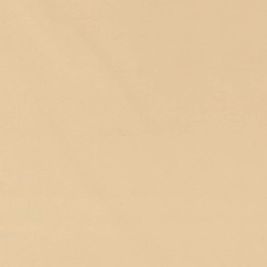 D2113 Plain & Solid Natural Beige & Taupe Charlotte Fabrics