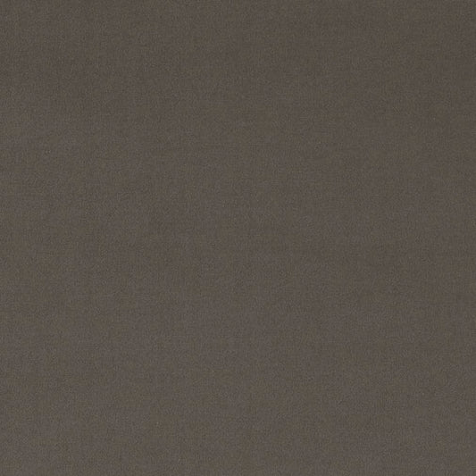 D2121 Plain & Solid Pewter Grey & Silver Charlotte Fabrics