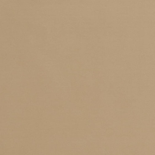 D2124 Plain & Solid Fawn Beige & Taupe Charlotte Fabrics