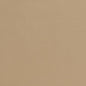 D2124 Plain & Solid Fawn Beige & Taupe Charlotte Fabrics