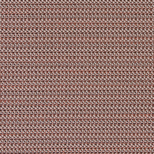 D2181 Plain & Solid,Small Scale Salmon Texture Coral & Peach Charlotte Fabrics
