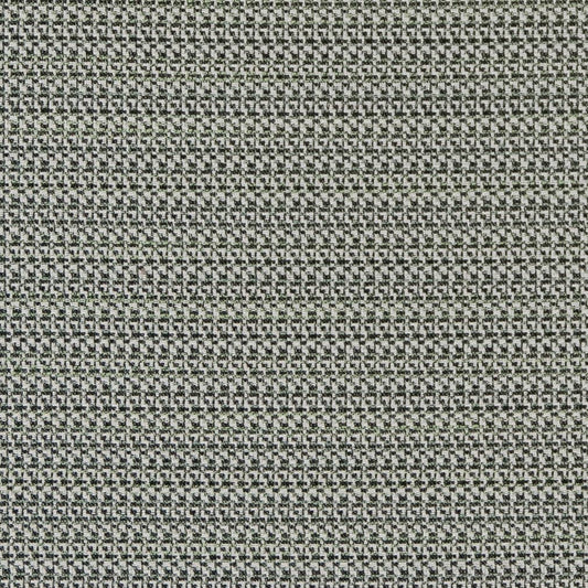 D2186 Plain & Solid,Small Scale Spring Texture Green Charlotte Fabrics