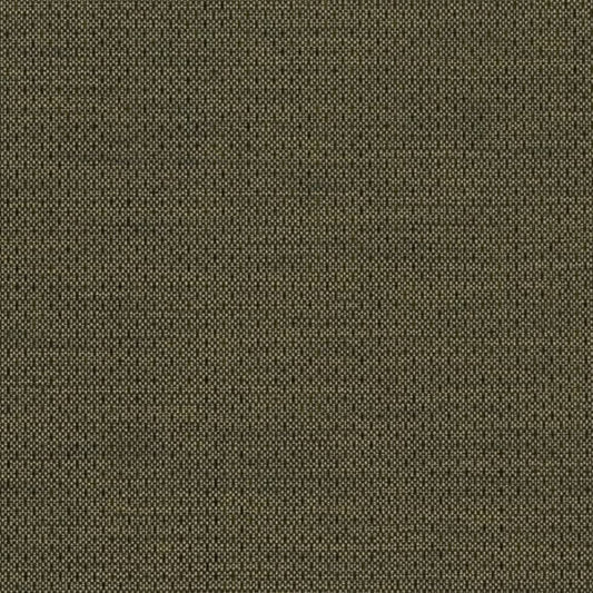 D2193 Plain & Solid Basil Green Charlotte Fabrics