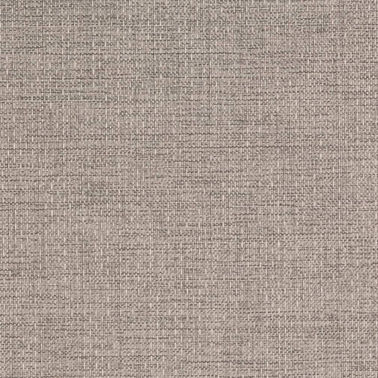 D2200 Plain & Solid Cement Grey & Silver Charlotte Fabrics