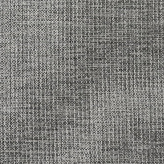 D2202 Plain & Solid Glacier Grey & Silver Charlotte Fabrics