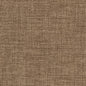 D2203 Plain & Solid Latte Brown Charlotte Fabrics