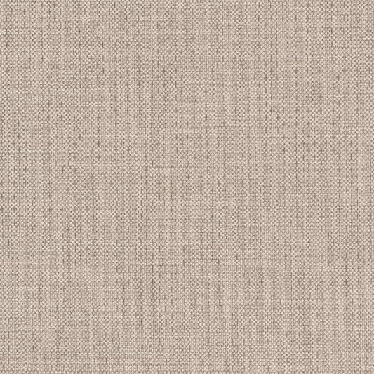 D2205 Plain & Solid Cloud Grey & Silver Charlotte Fabrics