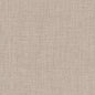 D2205 Plain & Solid Cloud Grey & Silver Charlotte Fabrics