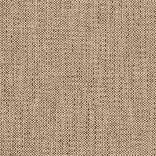 D2209 Plain & Solid Linen Beige & Taupe Charlotte Fabrics