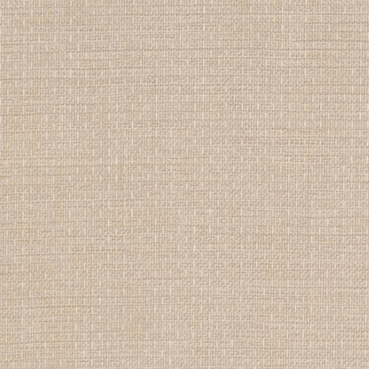 D2216 Plain & Solid Quartz Beige & Taupe Charlotte Fabrics
