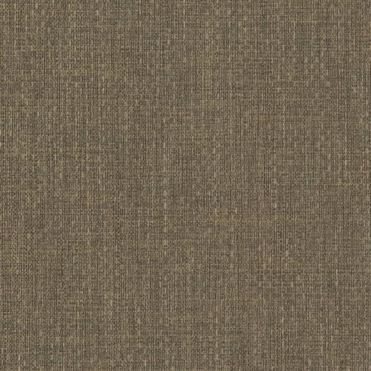 D2219 Plain & Solid Sage Green Charlotte Fabrics