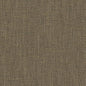 D2219 Plain & Solid Sage Green Charlotte Fabrics