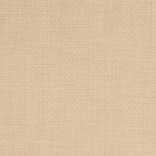 D2223 Plain & Solid Vanilla Beige & Taupe Charlotte Fabrics
