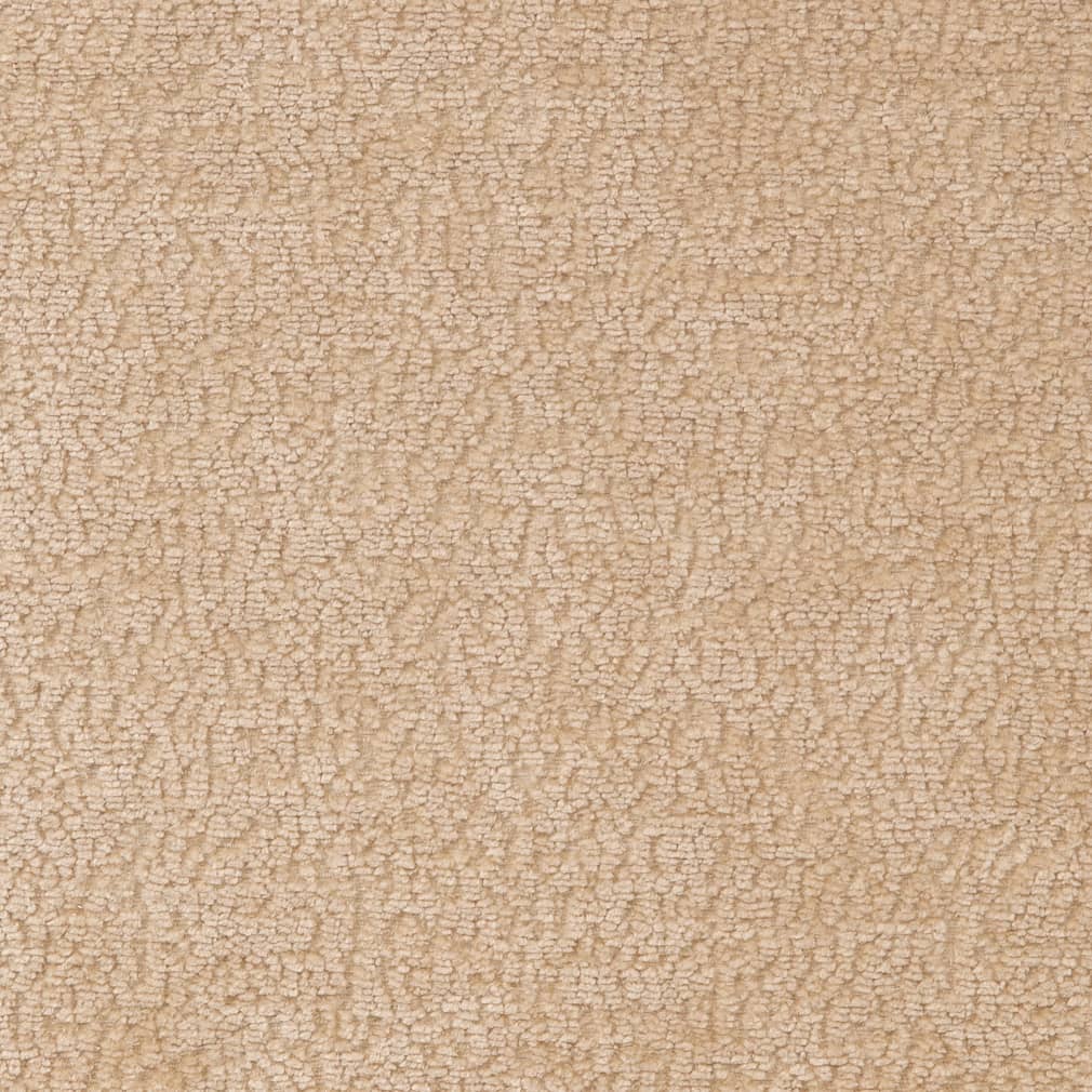 D2230 Plain & Solid Ecru Beige & Taupe Charlotte Fabrics