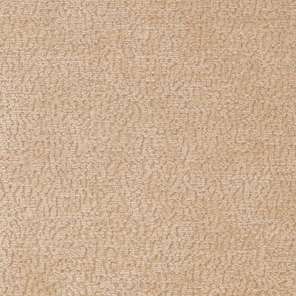 D2230 Plain & Solid Ecru Beige & Taupe Charlotte Fabrics