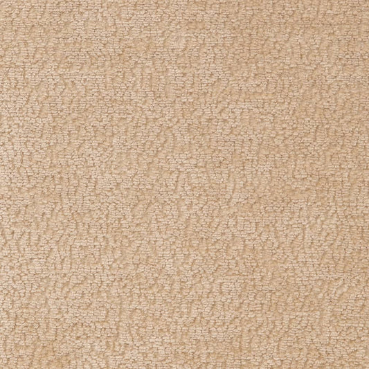 D2230 Plain & Solid Ecru Beige & Taupe Charlotte Fabrics