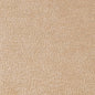 D2230 Plain & Solid Ecru Beige & Taupe Charlotte Fabrics