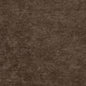 D2251 Plain & Solid Bark Brown Charlotte Fabrics