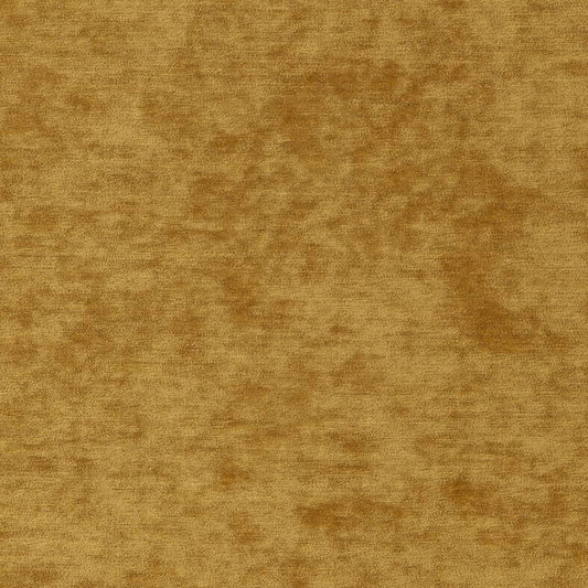 D2257 Plain & Solid Golden Gold & Yellow Charlotte Fabrics