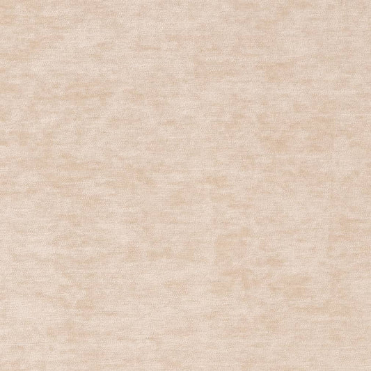 D2263 Plain & Solid Bone Beige & Taupe Charlotte Fabrics
