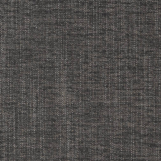 D2270 Plain & Solid Charcoal Grey & Silver Charlotte Fabrics