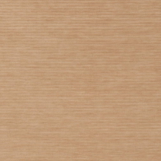 D2288 Plain & Solid Cashew Beige & Taupe Charlotte Fabrics